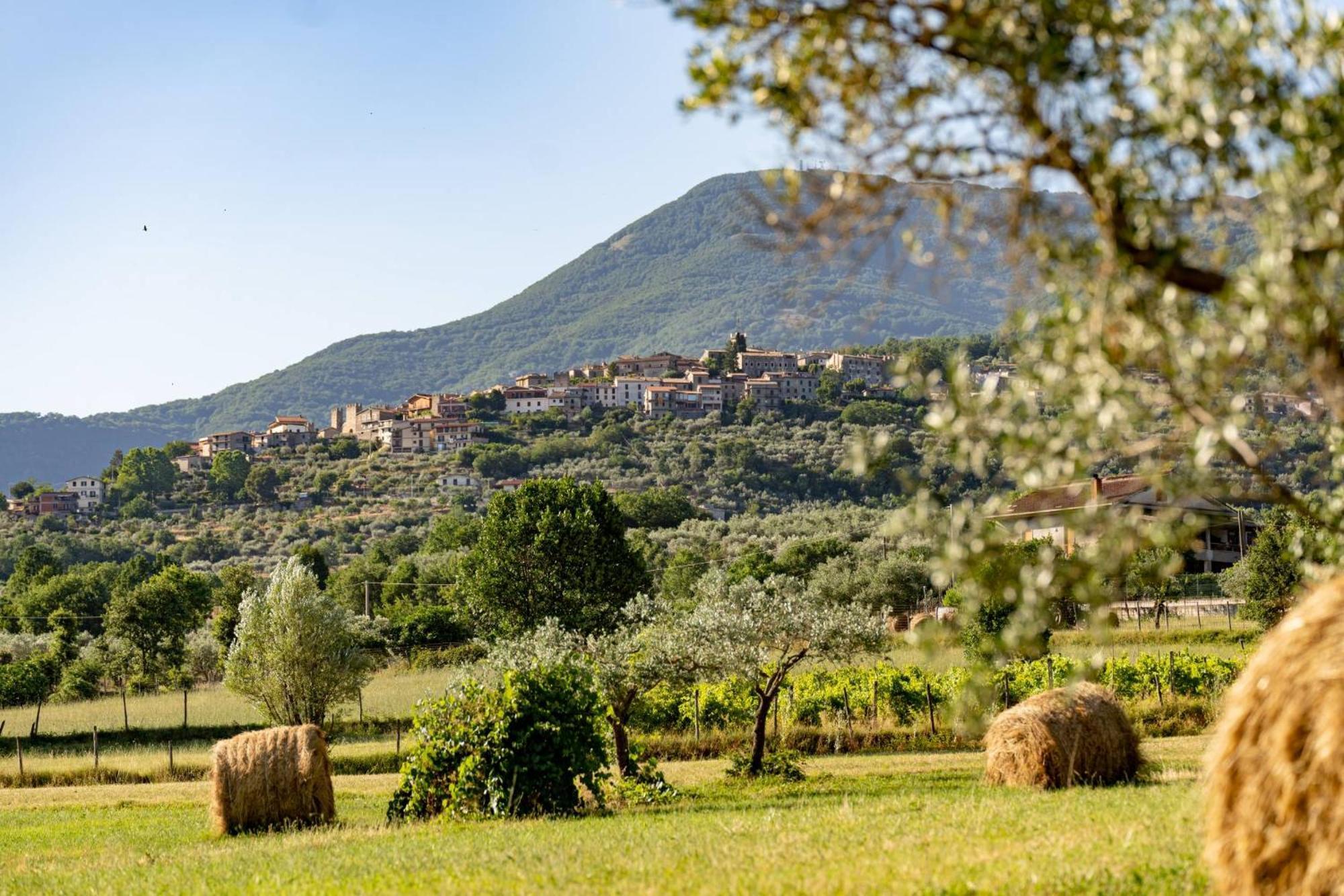 B&B Vico Suites Vico nel Lazio Exteriör bild